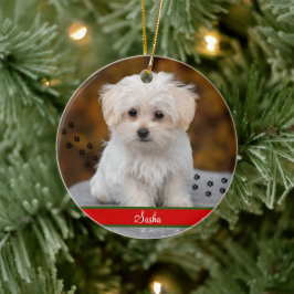 Aangepaste foto van Pet ~ Aangepast, dubbelzijdig Keramisch Ornament