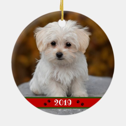 Aangepaste foto van Pet ~ Aangepast, dubbelzijdig Keramisch Ornament (Achterkant)