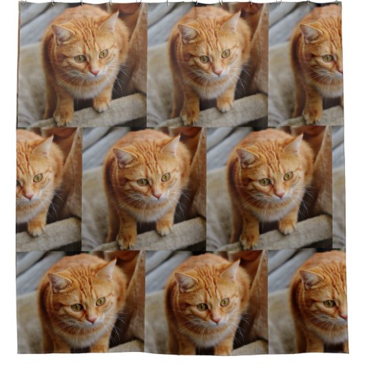 Aangepaste foto van Pet Cat Dog Douchegordijn (Voorkant)