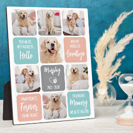Aangepaste foto van Pet Dog Memorial Chic Pastel C Fotoplaat
