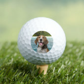 Aangepaste foto van Pet Dog Modern Aangepaste Golf Golfballen (Insitu Shirt)
