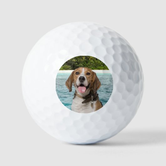 Aangepaste foto van Pet Dog Modern Aangepaste Golf Golfballen (Voorkant)