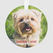 Aangepaste foto van Pet-foto's Kat-kerstboom Ornament (voorkant)