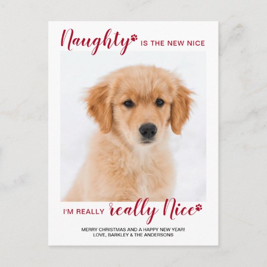 Aangepaste foto van Pet Naught Nice Funny Dog Kers Feestdagenkaart (Voorkant)