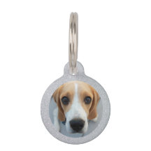 Aangepaste foto van Silver Glitter Pet Dog