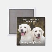 Aangepaste foto van twee honden als beste vrienden magneet (Voorkant / Achterkant)