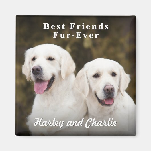Aangepaste foto van twee honden als beste vrienden magneet (Voorkant)
