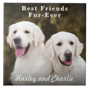 Aangepaste foto van twee honden als beste vrienden tegeltje