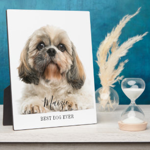 Aangepaste foto van verzendTzu Aangepaste Pet Dog Fotoplaat