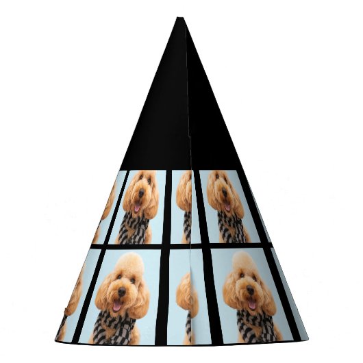 Aangepaste foto van vierde verjaardagsfeestje Pet Feesthoedjes (Achterkant)