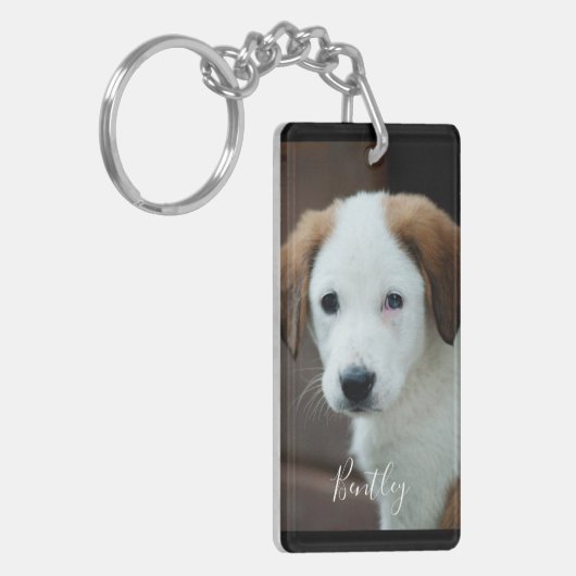 Aangepaste foto voor gezelschapsdieren modern, een sleutelhanger (Voorkant Links)