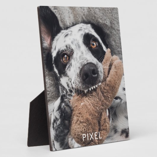 Aangepaste foto voor honden fotoplaat (Zijkant)