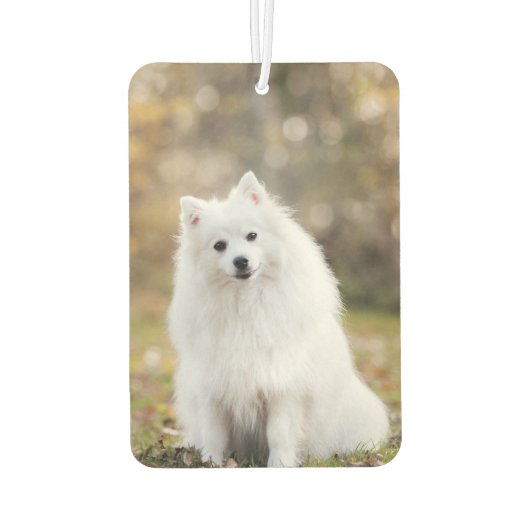 Aangepaste foto voor honden luchtverfrisser (Achterkant)