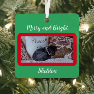 Aangepaste foto voor Merry en Bright Red Border Pe Metalen Ornament