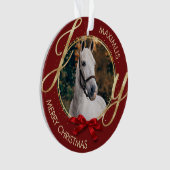 Aangepaste foto voor paardennamen ornament (voorkant)
