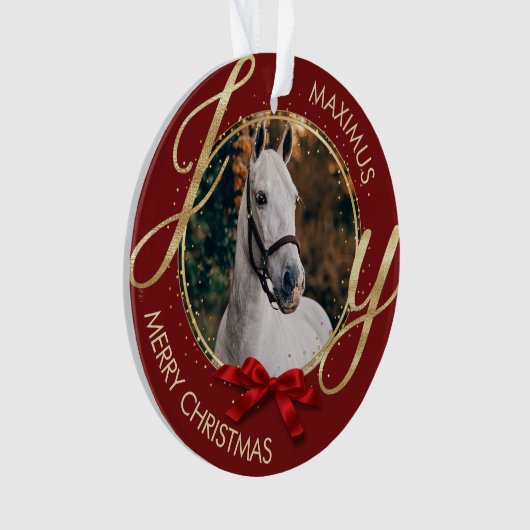 Aangepaste foto voor paardennamen ornament (voorkant)