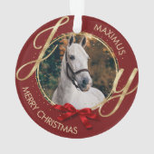 Aangepaste foto voor paardennamen ornament (achterkant)