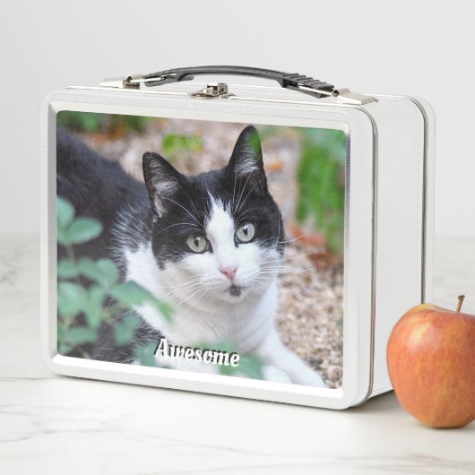 Aangepaste foto voor zwart-wit Tuxedo Cat (In situ)