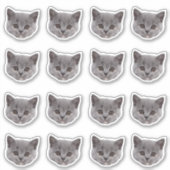 Aangepaste foto waterdichte vinyl Stickers (Voorkant)