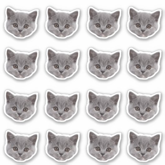 Aangepaste foto waterdichte vinyl Stickers (Voorkant)