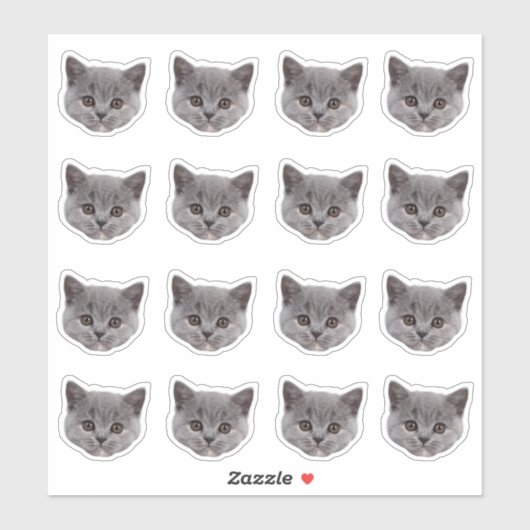 Aangepaste foto waterdichte vinyl Stickers (Vel)