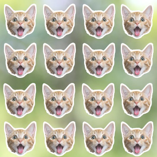 Aangepaste foto waterdichte vinyl Stickers