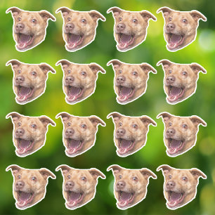 Aangepaste foto waterdichte vinyl Stickers