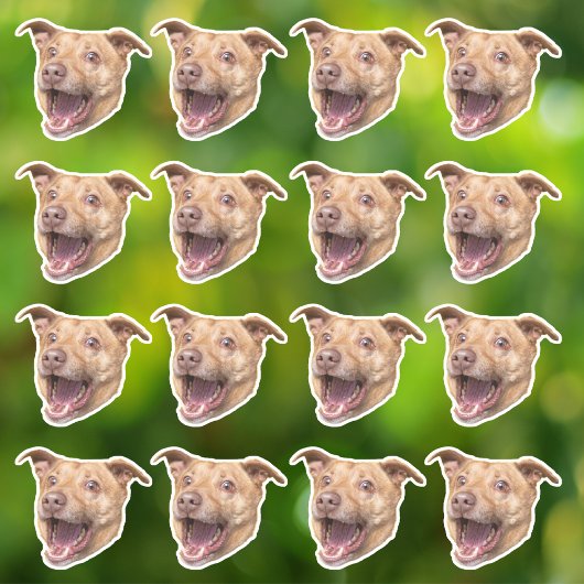 Aangepaste foto waterdichte vinyl Stickers