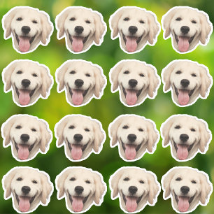 Aangepaste foto waterdichte vinyl Stickers