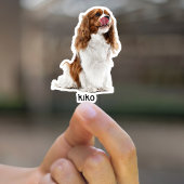 Aangepaste foto waterdichte vinyl Stickers