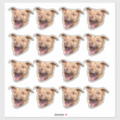 Aangepaste foto waterdichte vinyl Stickers (Vel)