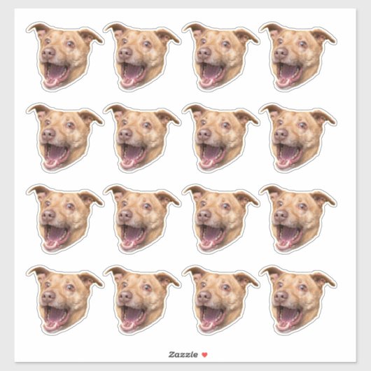 Aangepaste foto waterdichte vinyl Stickers (Vel)