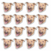 Aangepaste foto waterdichte vinyl Stickers (Voorkant)