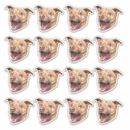 Aangepaste foto waterdichte vinyl Stickers (Voorkant)