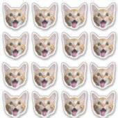 Aangepaste foto waterdichte vinyl Stickers (Voorkant)