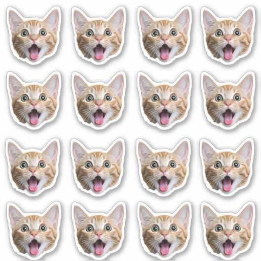 Aangepaste foto waterdichte vinyl Stickers (Voorkant)