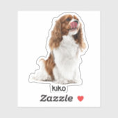 Aangepaste foto waterdichte vinyl Stickers (Vel)