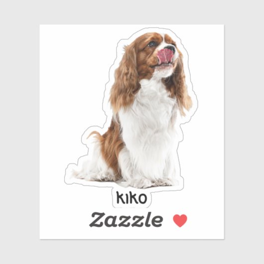 Aangepaste foto waterdichte vinyl Stickers (Vel)