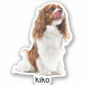 Aangepaste foto waterdichte vinyl Stickers (Voorkant)