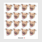 Aangepaste foto waterdichte vinyl Stickers (Vel)