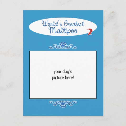 Aangepaste foto! Wereld grootste Maltipoo Briefkaart (Voorkant)