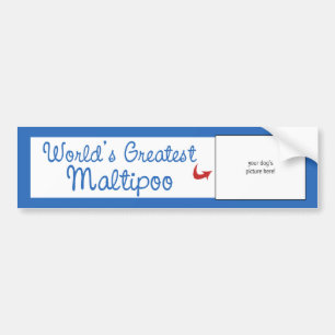 Aangepaste foto! Wereld grootste Maltipoo Bumpersticker