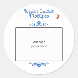 Aangepaste foto! Wereld grootste Maltipoo Ronde Sticker
