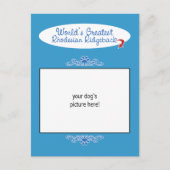 Aangepaste foto! Wereld het grootst Rhodezische Be Briefkaart (Voorkant)