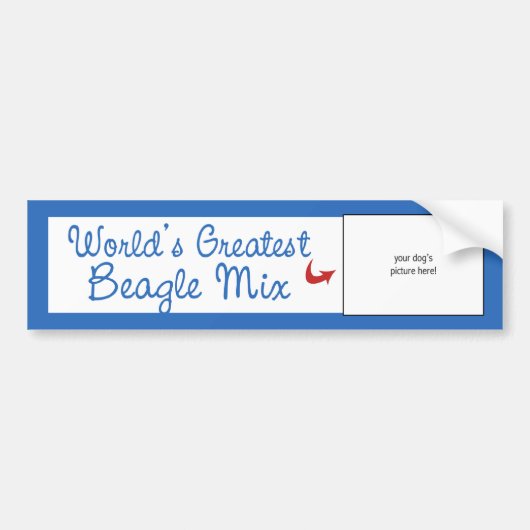 Aangepaste foto! Wereld met de grootste bundel Bumpersticker (Voorkant)