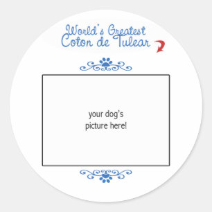Aangepaste foto! Werelden Grootste Coton de Tulear Ronde Sticker