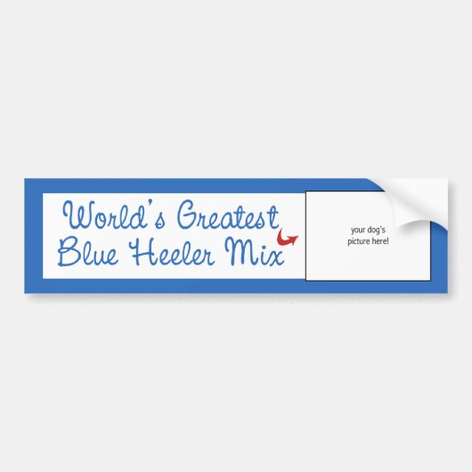 Aangepaste foto! Werelds Beste Blue Heeler Mix Bumpersticker (Voorkant)