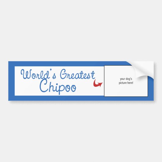 Aangepaste foto! Wereldwijd de grootste Chipoo Bumpersticker (Voorkant)