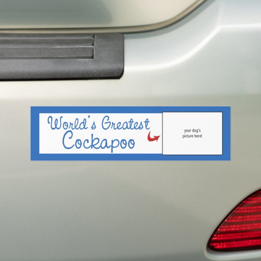 Aangepaste foto! Wereldwijd de grootste Cockapoo Bumpersticker (Op auto)