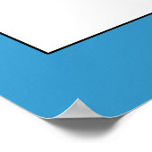 Aangepaste foto! Wereldwijd de grootste Siamese Poster (Hoek)